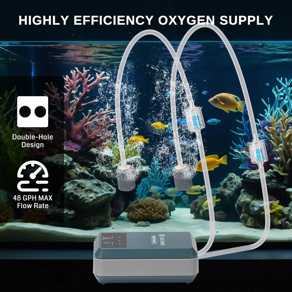 do planted aquariums need air pump XpertMatic Aquarium Air Pump Dual Outlet, Super Quiet Oxygen Pump 48 G – SainSmart.com