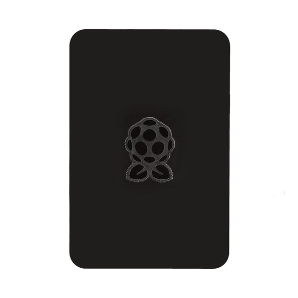 SainSmart Raspberry Pi Case (Black) for Raspberry Pi 3, 2 and B+ ...